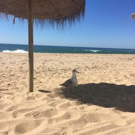 In Love Ericeira